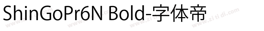 ShinGoPr6N Bold字体转换